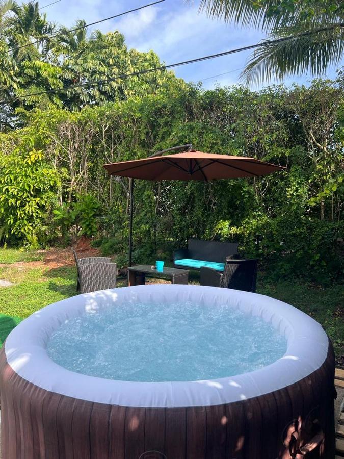 Brazilian Home コーラル・ゲーブルズ（フロリダ州） エクステリア 写真